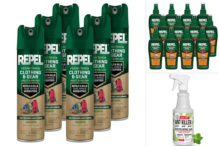 Detailed view of 10 Best Insect Repellent Sprays for Bite-Free Trips
