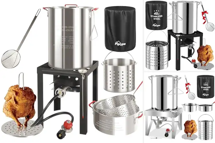 Detailed view of 10 Best Outdoor Cookers for Fast, Flavorful Meals