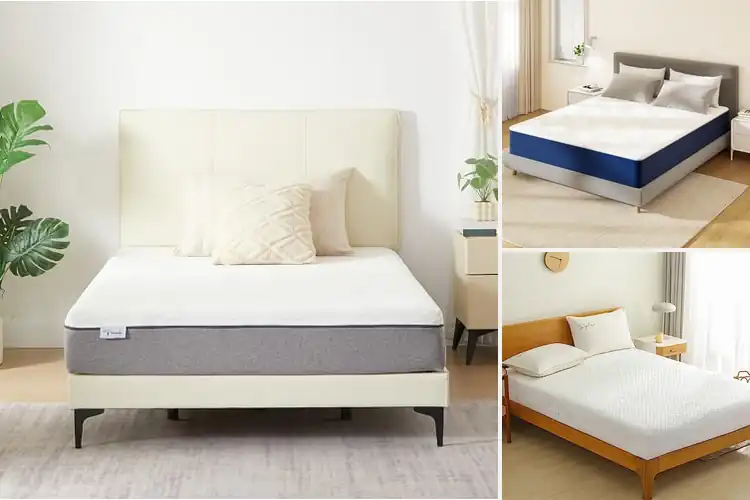 Detailed view of 10 Best Removable Cover Mattresses for Cleaner Sleep