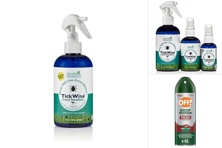 Detailed view of 10 Best Tick Repellent Treatments for Outdoor Safety
