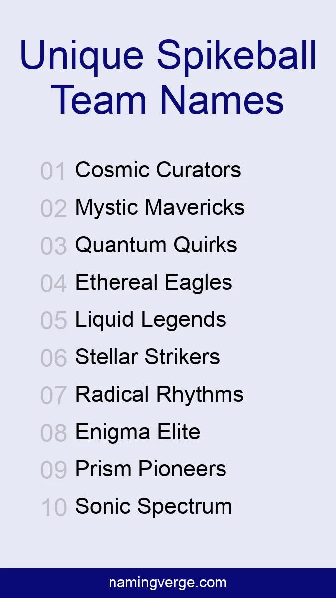 Unique Spikeball Team Names Photo